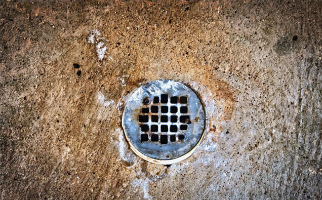https://blockeddrainsmountpleasant.com.au/uploads/2025/07/blocked-shower-drains-20432.jpg