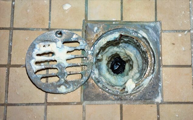 https://blockeddrainsmountpleasant.com.au/uploads/2025/07/blocked-shower-drains-33151.jpg