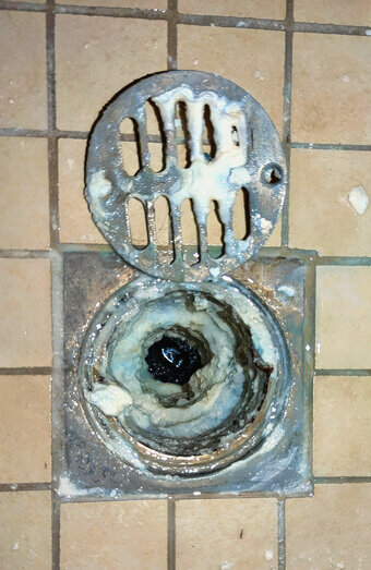 https://blockeddrainsmountpleasant.com.au/uploads/2025/07/blocked-shower-drains-86331.jpg