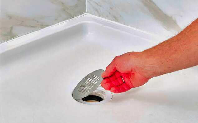 https://blockeddrainsmountpleasant.com.au/uploads/2025/07/blocked-shower-drains-90992.jpg