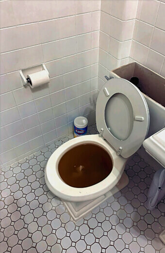 https://blockeddrainsmountpleasant.com.au/uploads/2025/07/blocked-toilet-42230.jpg
