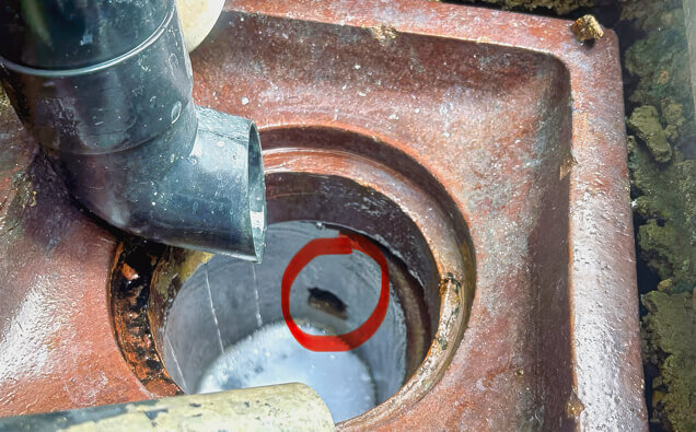 https://blockeddrainsmountpleasant.com.au/uploads/2025/07/hero-blocked-sewers-17074.jpg