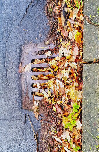 https://blockeddrainsmountpleasant.com.au/uploads/2025/07/stormwater-drains-48051.jpg
